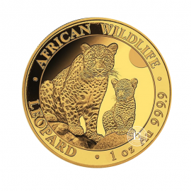 1 oz (31.10 g) złota moneta Afrykańska przyroda - Leopard, Somalia 2024