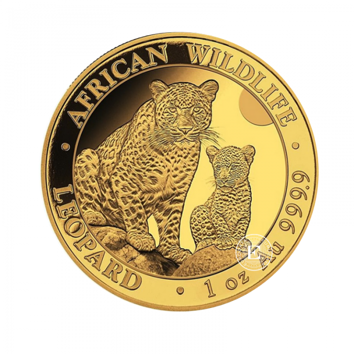 1 oz (31.10 g) goldmünze Afrikanische Tierwelt – Leopard, Somalia 2024