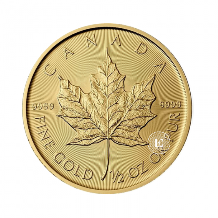 1/2 oz (15.55 g) Goldmünze Maple Leaf, Kanada 2024