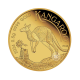 0.5 g auksinė moneta kortelėje Kengūra, Australija 2024
