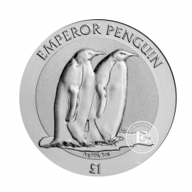 1 oz (31.10 g) sidabrinė moneta Imperatoriškasis pingvinas, Britų Antarktidos teritorija 2023