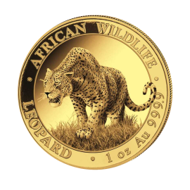 1 oz (31.10 g) goldmünze African Wildlife, Leopard, Somalia 2023