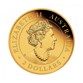 0.5 g auksinė moneta Mini Kengūra, Australija 2022