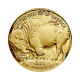 1 oz auksinė PROOF moneta Buivolas, JAV 2022
