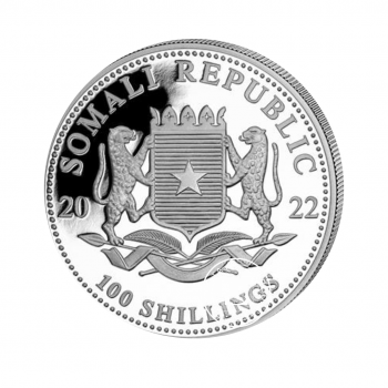 1 oz (31.10 g) sidabrinė moneta Afrikos laukinė gamta, Leopardas, Somalis 2022 (dalinai paauksuota)