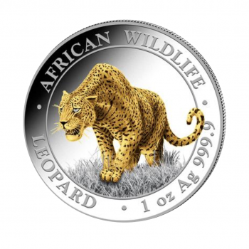 1 oz (31.10 g) sidabrinė moneta Afrikos laukinė gamta, Leopardas, Somalis 2023 (dalinai paauksuota)