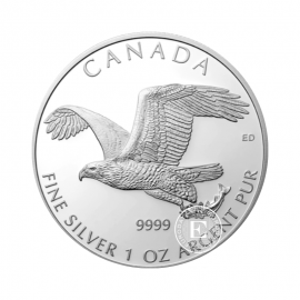 1 oz (31.10 g) silbermünze Bald Eagle, Canada 2014