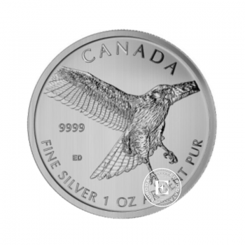 1 oz (31.10 g) sidabrinė moneta Canada Birds of Prey, Red-Tailed Hawk, Kanada 2015