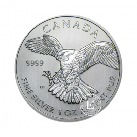 1 oz (31.10 g) srebrna moneta Peregrine Falcon, Canada 2014