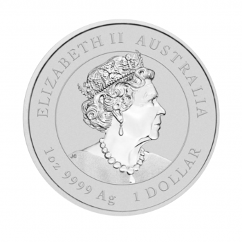 1 oz (31.10 g) sidabrinė moneta Lunar III Triušio metai, Australija 2023 (dalinai paauksuota)