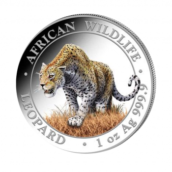 1 oz (31.10 g) sidabrinė spalvota moneta Afrikos laukinė gamta, Leopardas, Somalis 2023