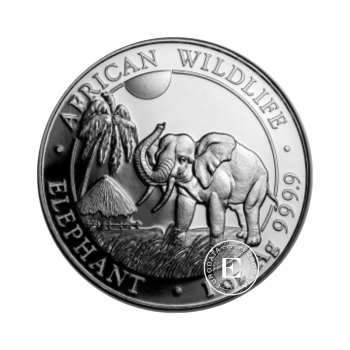 1 oz (31.10 g) sidabrinė moneta Dramblys, Somalis 2017