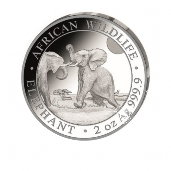 2 oz (62.20 g)  pièce d'argent Faune Africaine - Éléphant, Somalie 2024