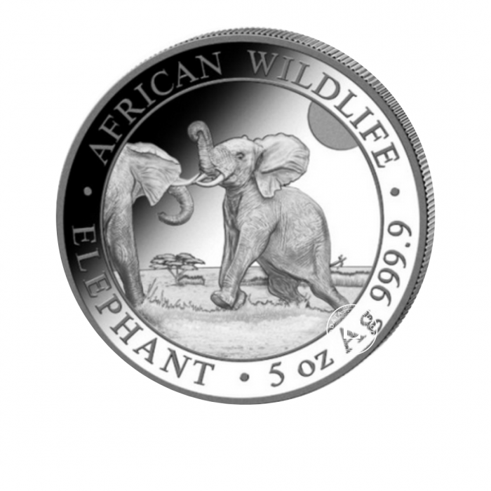 5 oz (155.50 g)  pièce d'argent Faune Africaine - Éléphant, Somalie 2024