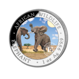 1 oz (31.10 g) sidabrinė spalvota moneta Afrikos laukinė gamta - Dramblys, Somalis 2024