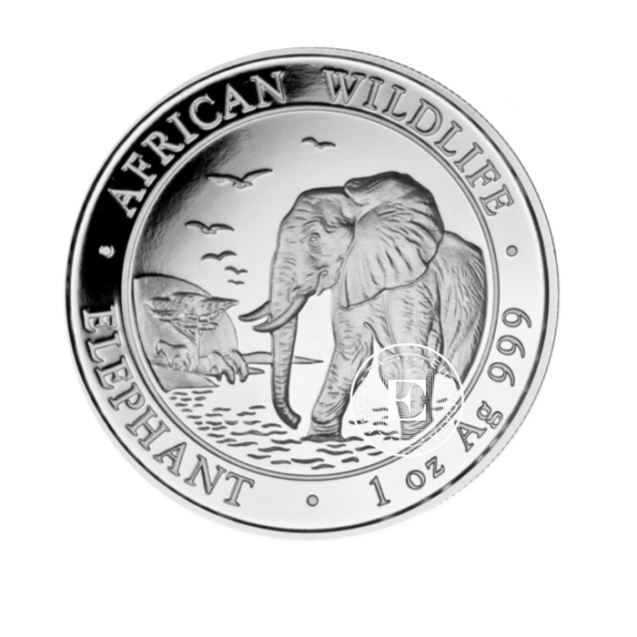 1 oz (31.10 g) silver coin Elephant, Somalia 2010