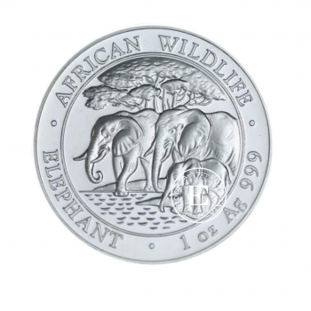1 oz (31.10 g) sidabrinė moneta Dramblys, Somalis 2013