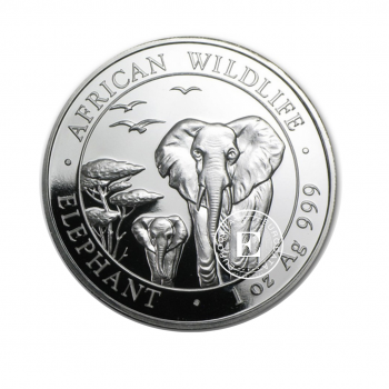 1 oz (31.10 g) sidabrinė moneta Dramblys, Somalis 2015