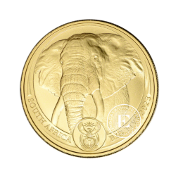 1 oz (31.10 g) złota moneta Big Five - Elephant, Afryka Południowa 2023