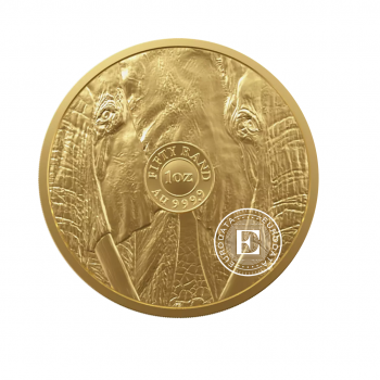 1 oz (31.10 g) złota moneta Big Five - Elephant, Afryka Południowa 2023