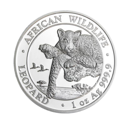1 oz (31.10 g) srebrna moneta African Wildlife - Leopard, Somalia 2020
