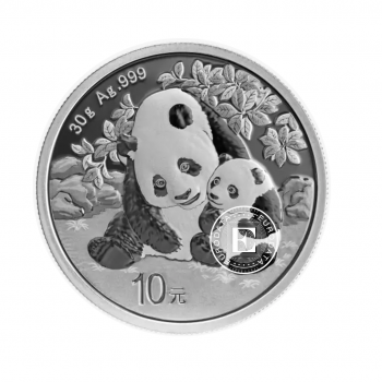 30 g sidabrinė moneta Panda, Kinija 2024