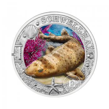 3 Eur pièce de monnaie colorée Swell Shark, Austria 2023