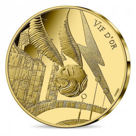 250 eurų (3g) auksinė moneta, HARRY POTTER kolekcija 2/2, Prancūzija 2021, Quidditch