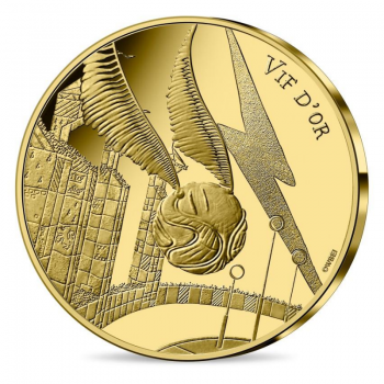 250 eurų auksinė moneta, HARRY POTTER kolekcija 2/2, Prancūzija 2021, Quidditch