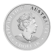 1 oz (31.10 g) sidabrinė moneta Kengūra, Australija 2022