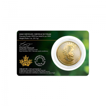 1 oz (31.10 g) gold coin Maple Leaf in coincard, Canada 2022