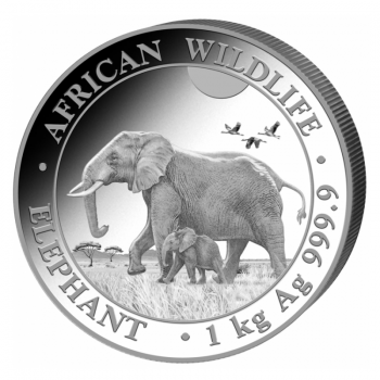 1 kg sidabrinė moneta Dramblys, Somalis 2022