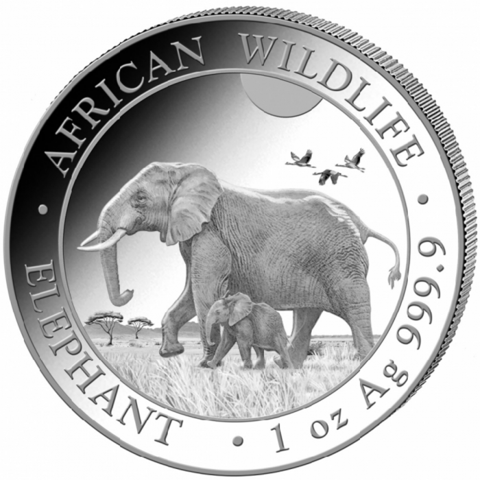 1 oz (31.10 g) sidabrinė moneta Dramblys, Somalis 2022