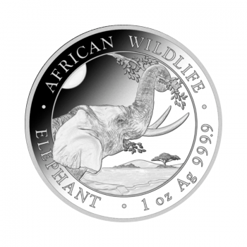 1 oz (31.10 g) sidabrinė moneta Dramblys, Somalis 2023