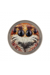 1 dollar (15.5 g) silver coin The jumping spider, Niue 2022
