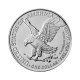 1 oz (31.10 g) silver coin American Eagle, USA 2021 (New design)