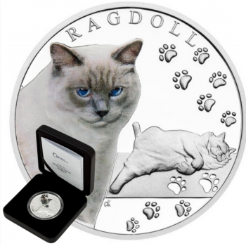1 oz (31.10 g) sidabrinė spalvota PROOF moneta Kačių veislės - Ragdoll katė, Niujė 2025