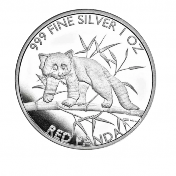1 oz (31.10 g) sidabrinė moneta Raudonoji panda, Čado Respublika 2023