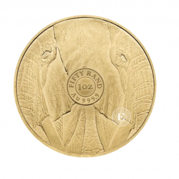 1 oz (31.10 g) auksinė moneta Didysis penketas - Dramblys, Pietų Afrikos Respublika 2024