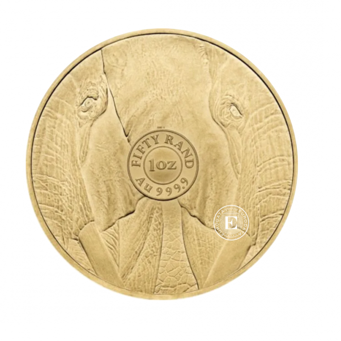1 oz (31.10 g) złota moneta Big Five - Elephant, Afryka Południowa 2024