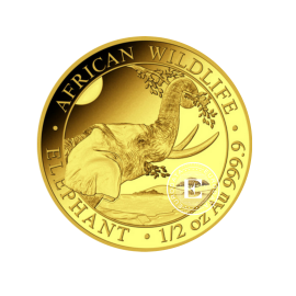 1/2 oz (15.55 g) złota moneta Słoń, Somalia 2023