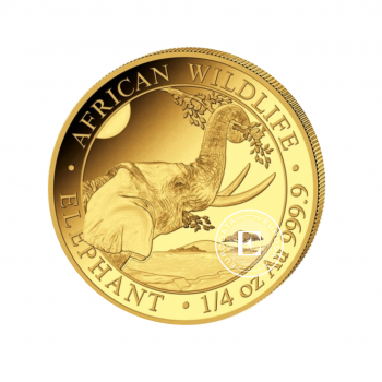 1/4 oz (7.78 g) auksinė moneta Dramblys, Somalis 2023