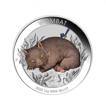 1 oz (31.10 g) sidabrinė spalvota moneta Wombat, Australija 2023