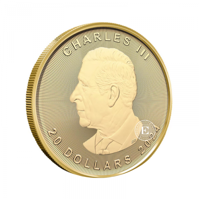 1/2 oz (15.55 g) Goldmünze Maple Leaf, Kanada 2024
